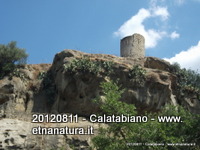 nnizzu-12-08-2012 10-31-54